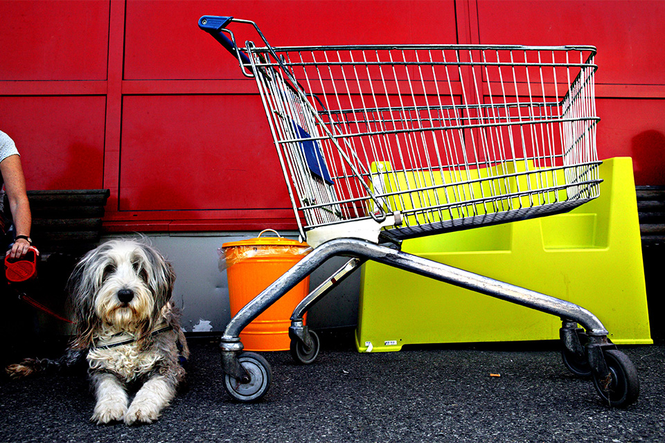 pa_shopping_med_hunden_karin_beate_nosterud.jpg