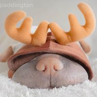 anniepaddington 27