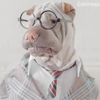 anniepaddington 4