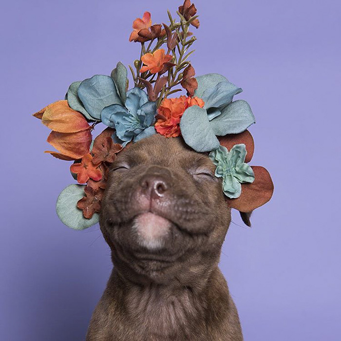 Flower Power 