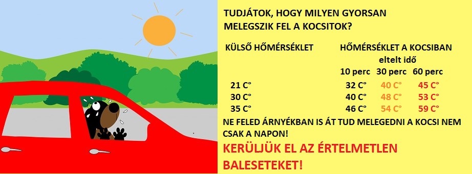 AUTO nyari meleg 2