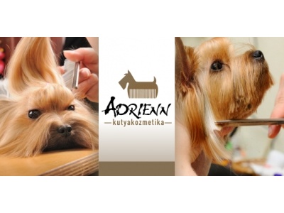 adrienn